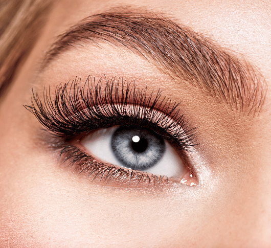 Eyebrows & Lashes